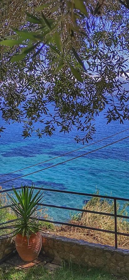 Villa Fourtuna Apartment Agios Ioannis Peristerion Eksteriør billede