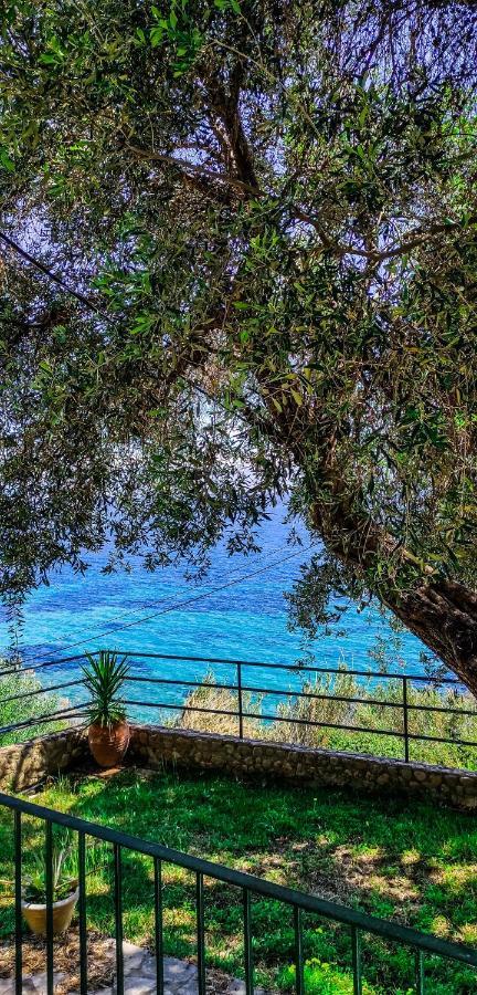 Villa Fourtuna Apartment Agios Ioannis Peristerion Eksteriør billede