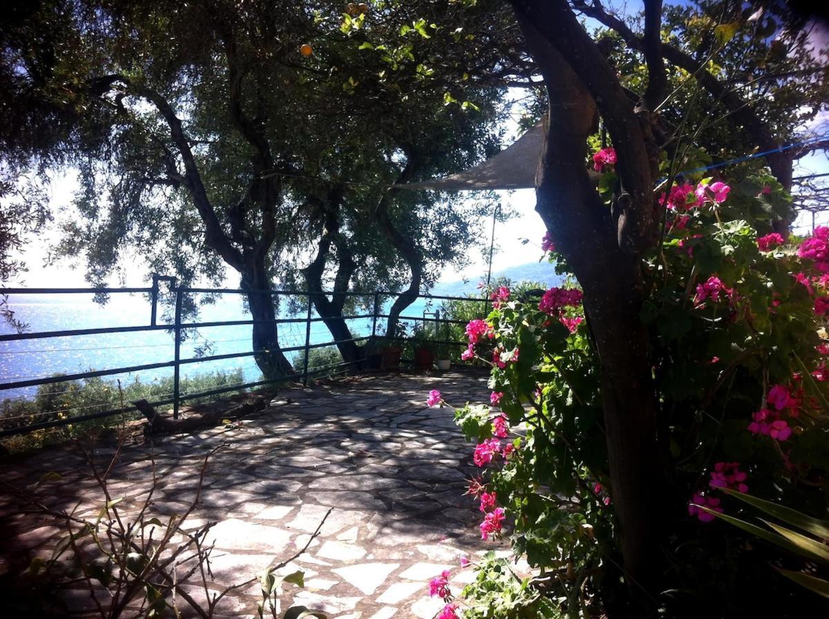 Villa Fourtuna Apartment Agios Ioannis Peristerion Eksteriør billede