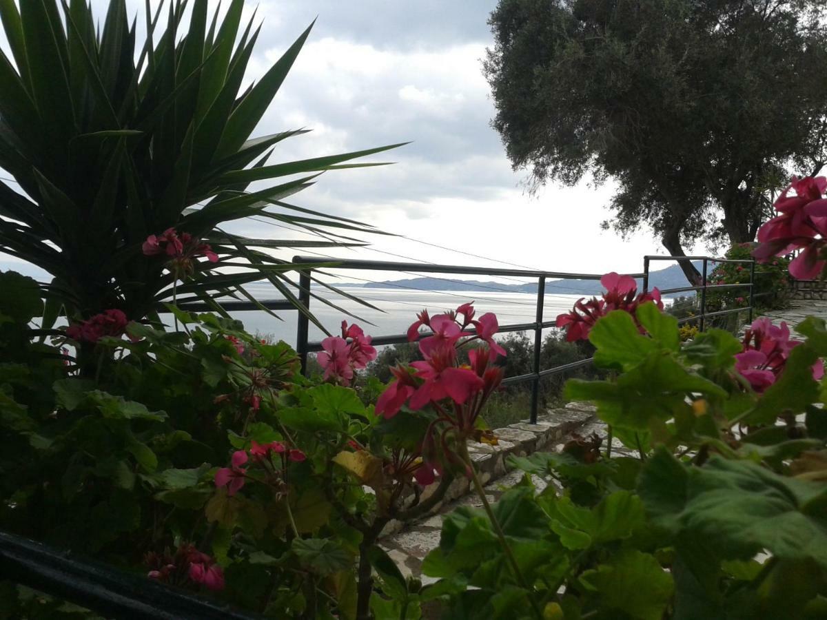 Villa Fourtuna Apartment Agios Ioannis Peristerion Eksteriør billede