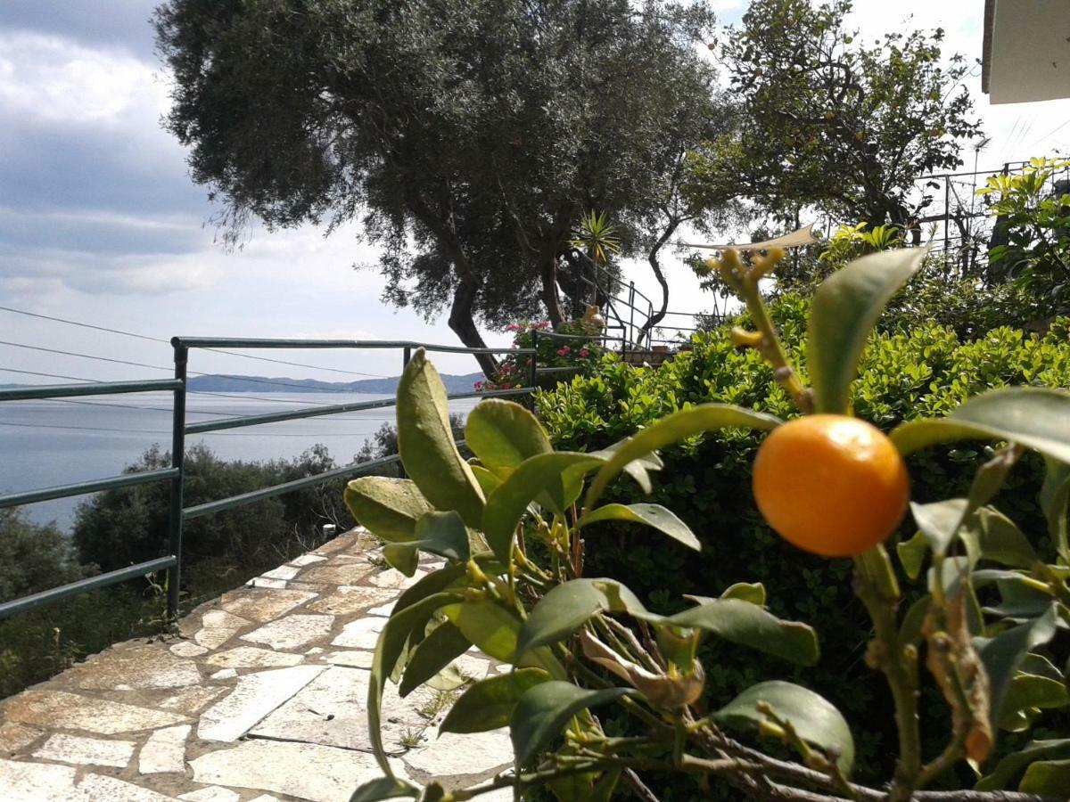 Villa Fourtuna Apartment Agios Ioannis Peristerion Eksteriør billede